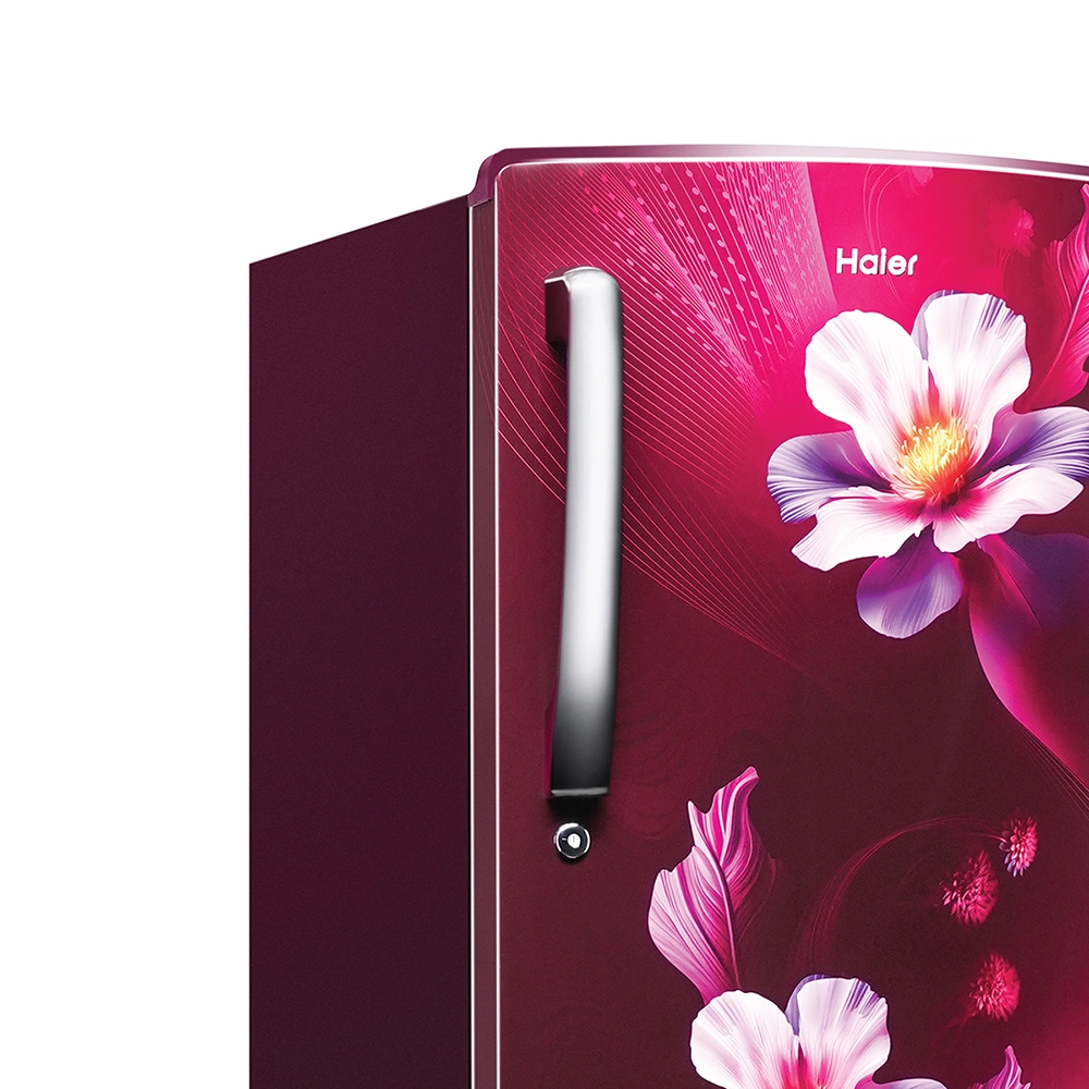 Haier 235L 2 Star Direct Cool Refrigerator - HRD-2562CRK-N